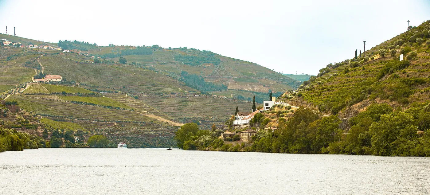 Terraced vineyards on the steep slopes of the Douro valley above the river