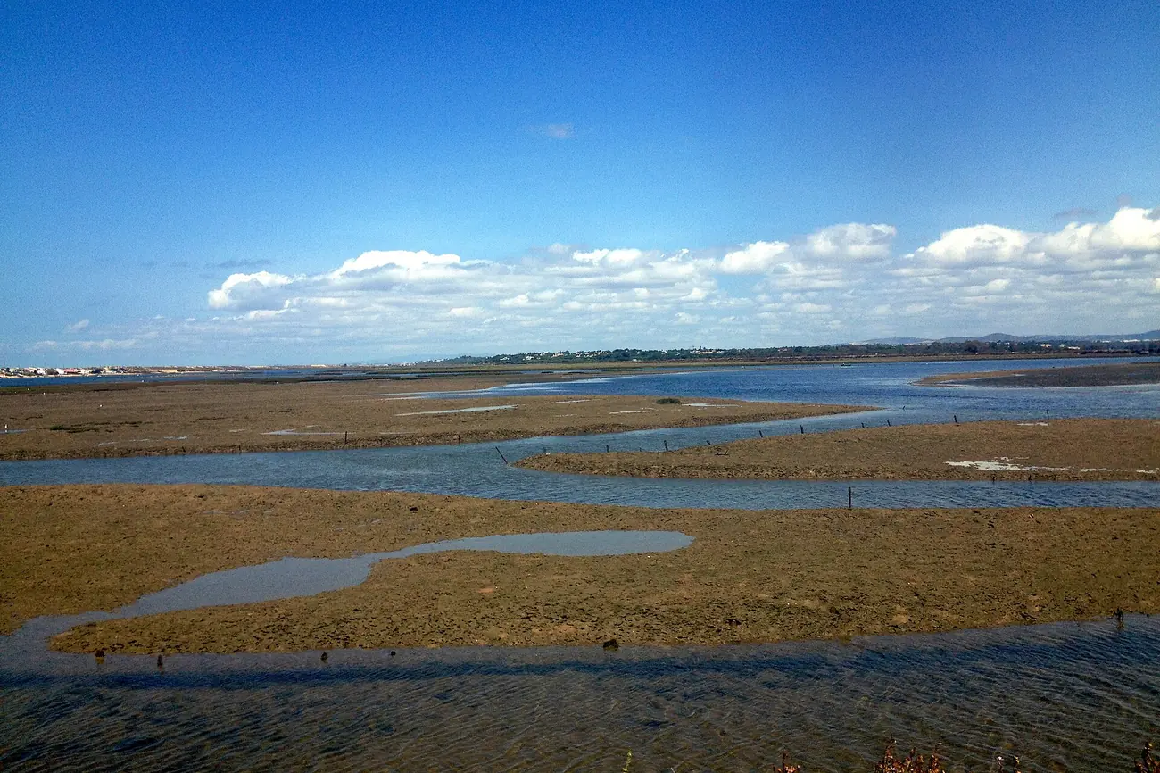 Tidal channels and salt marsh of the Ria Formosa lagoon near Faro under a clear sky