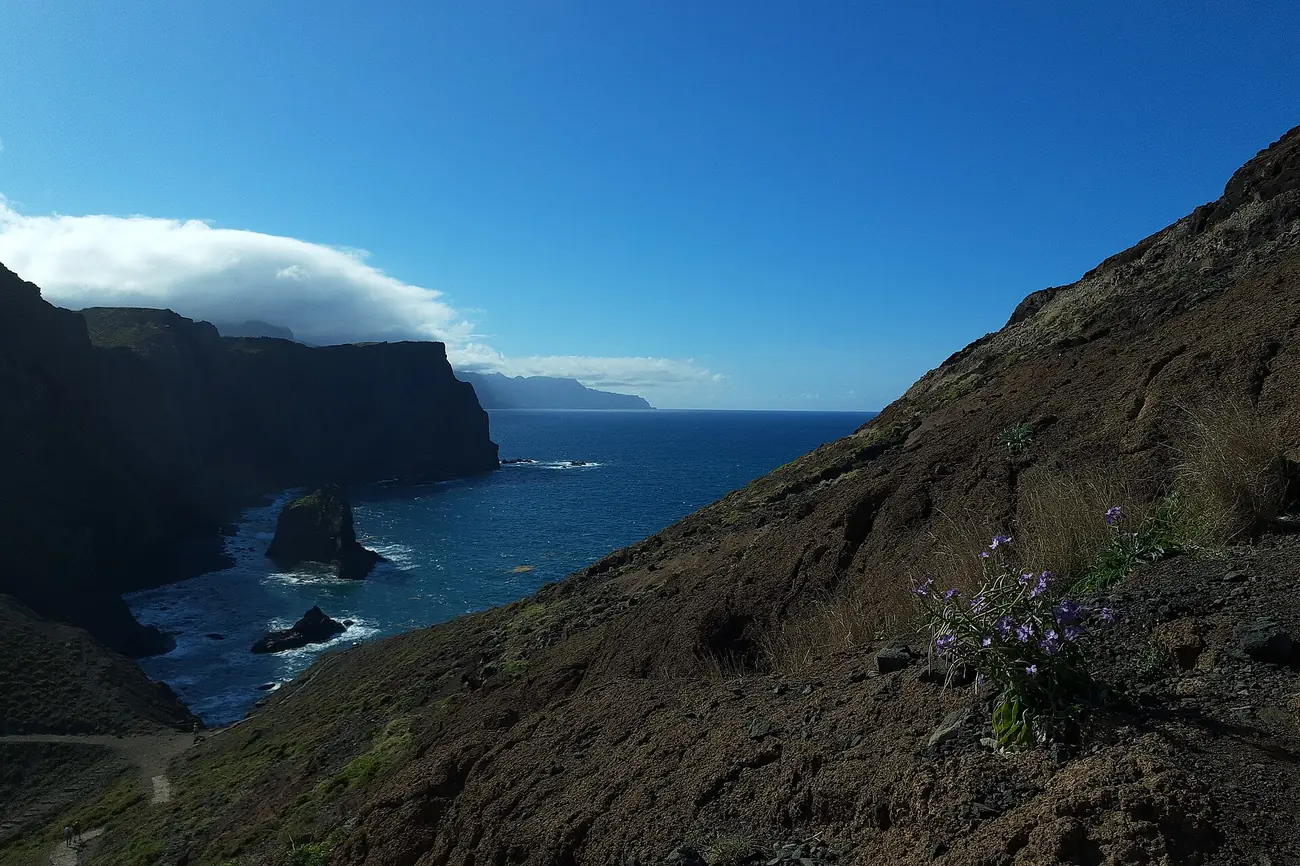 Steep volcanic cliffs and sea stacks at Ponta de São Lourenço on the eastern tip of Madeira